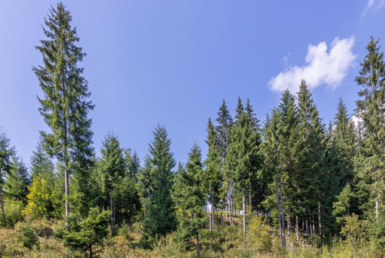 Konopka Guest House Bukovel Kültér fotó
