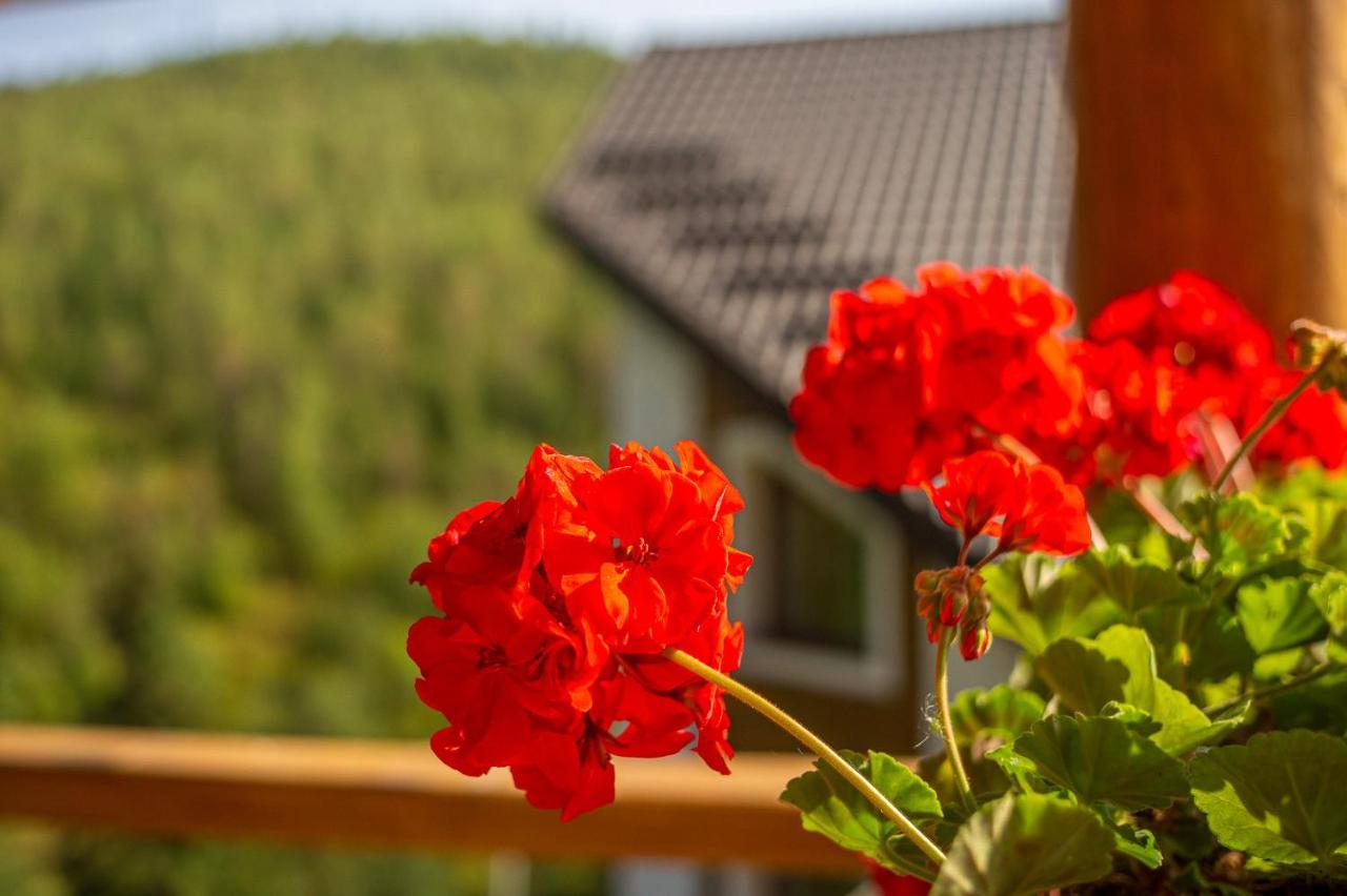 Konopka Guest House Bukovel Kültér fotó