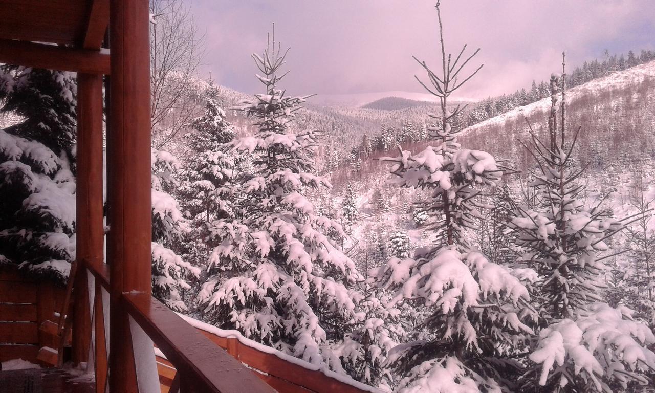 Konopka Guest House Bukovel Kültér fotó